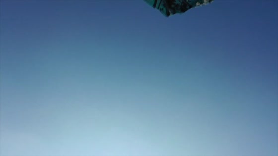 Les pieds sur terre, la tÃªte dans...