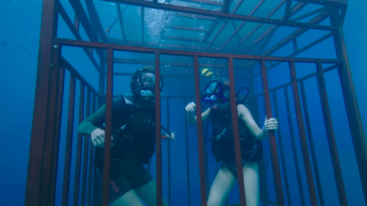 47 Meters Down : le film de requins phénomène revient ce soir à la télé