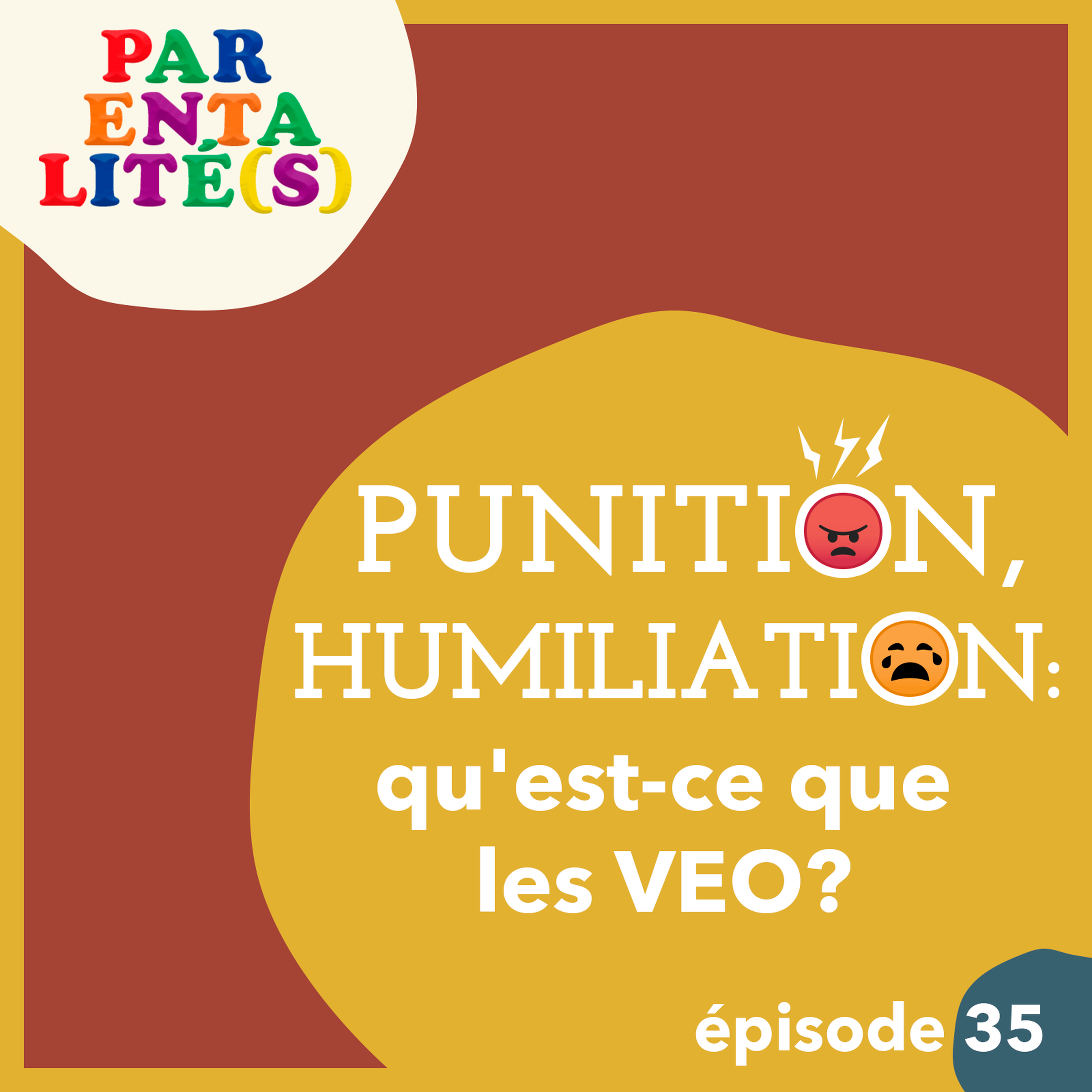 Punition, humiliation : qu'est ce que les VEO ?