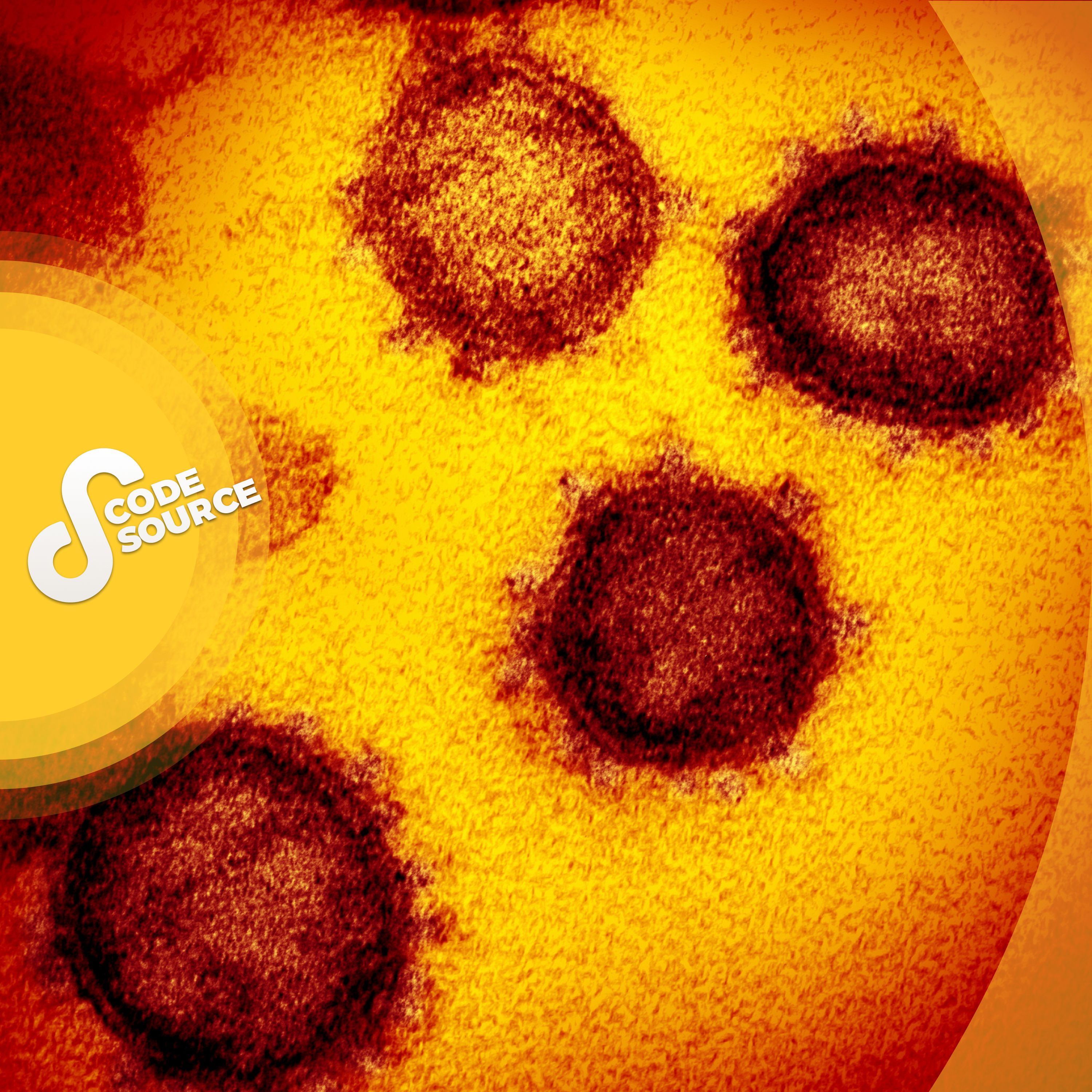 D’où vient réellement le Covid-19 ? L'origine du virus et ses mystères