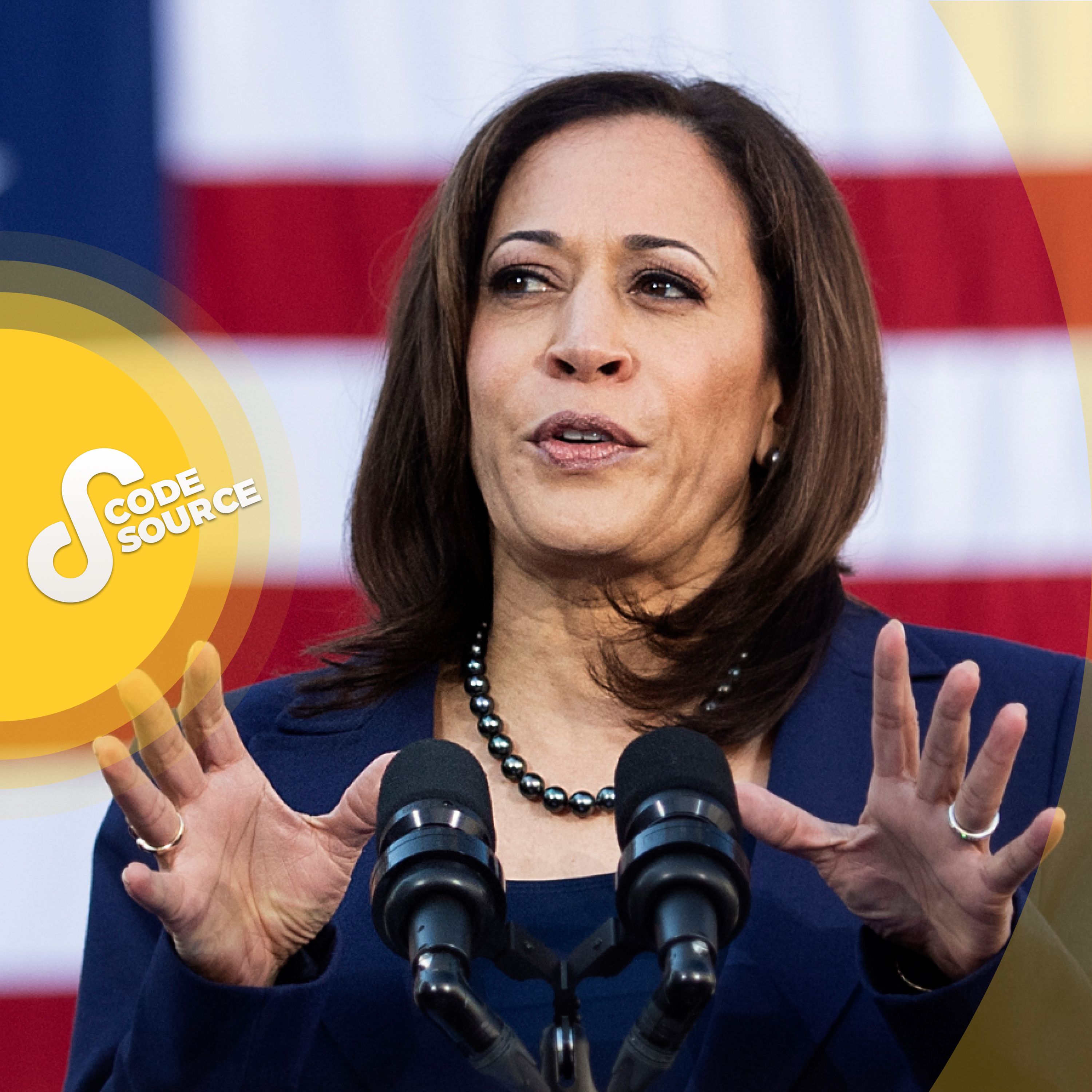 Qui est Kamala Harris, vice-présidente élue des États-Unis et nouvelle icône démocrate ?