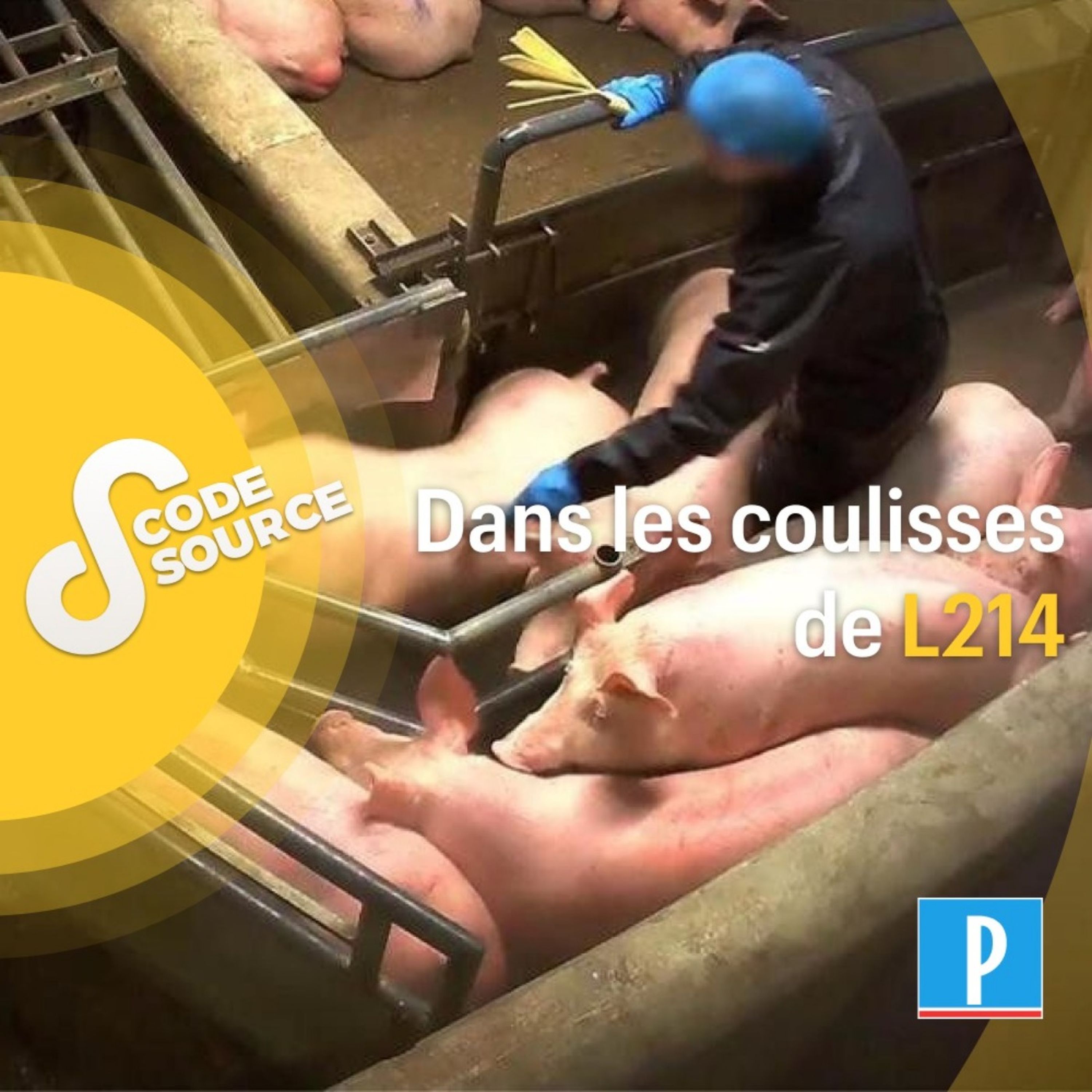 Dans les coulisses de L214