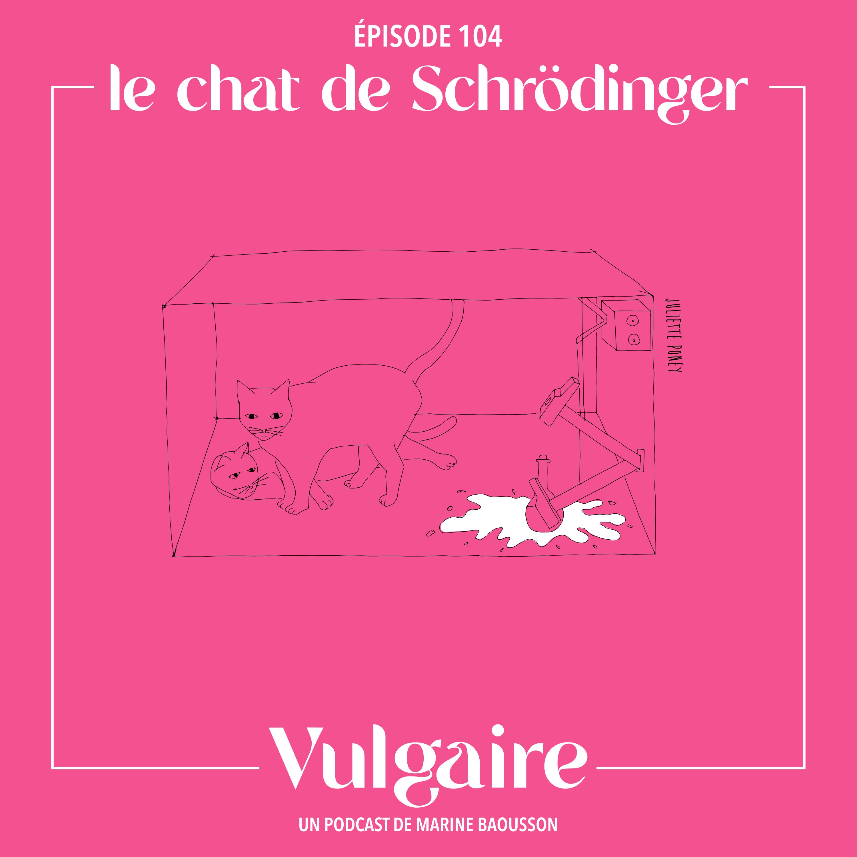 LE CHAT DE SCHRÖDINGER
