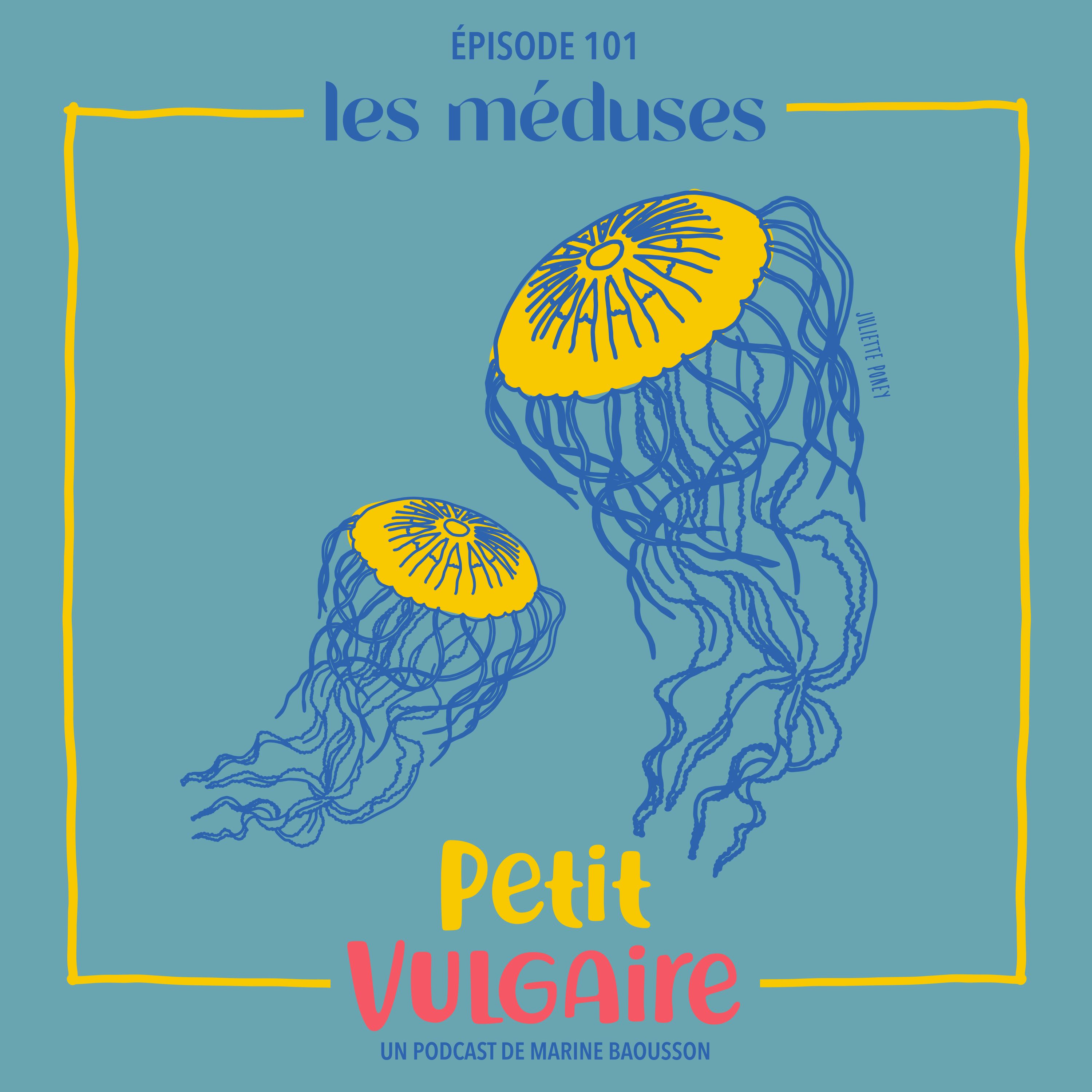 LES MÉDUSES