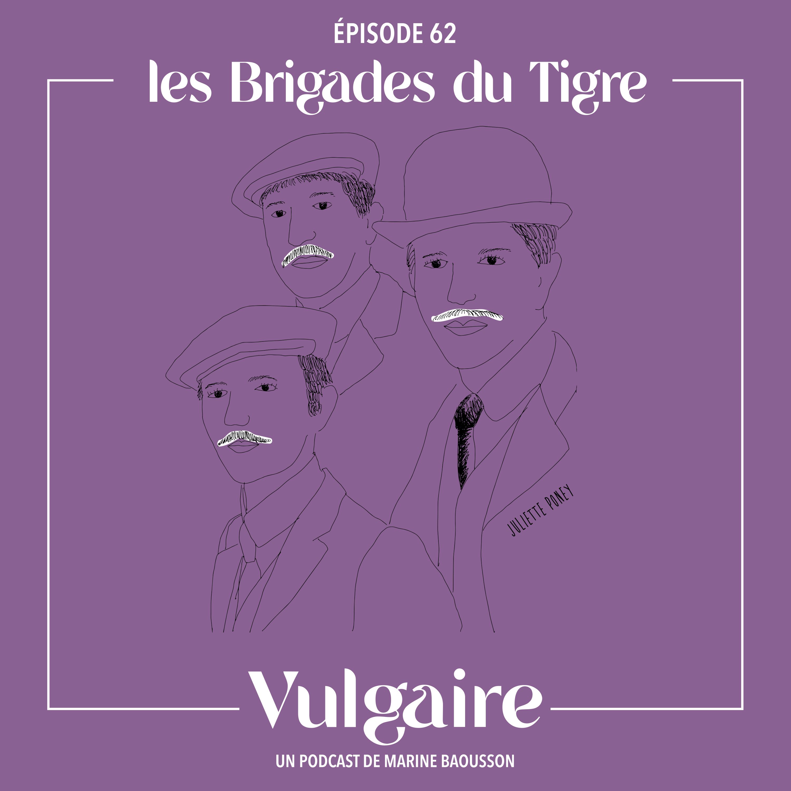 LES BRIGADES DU TIGRE