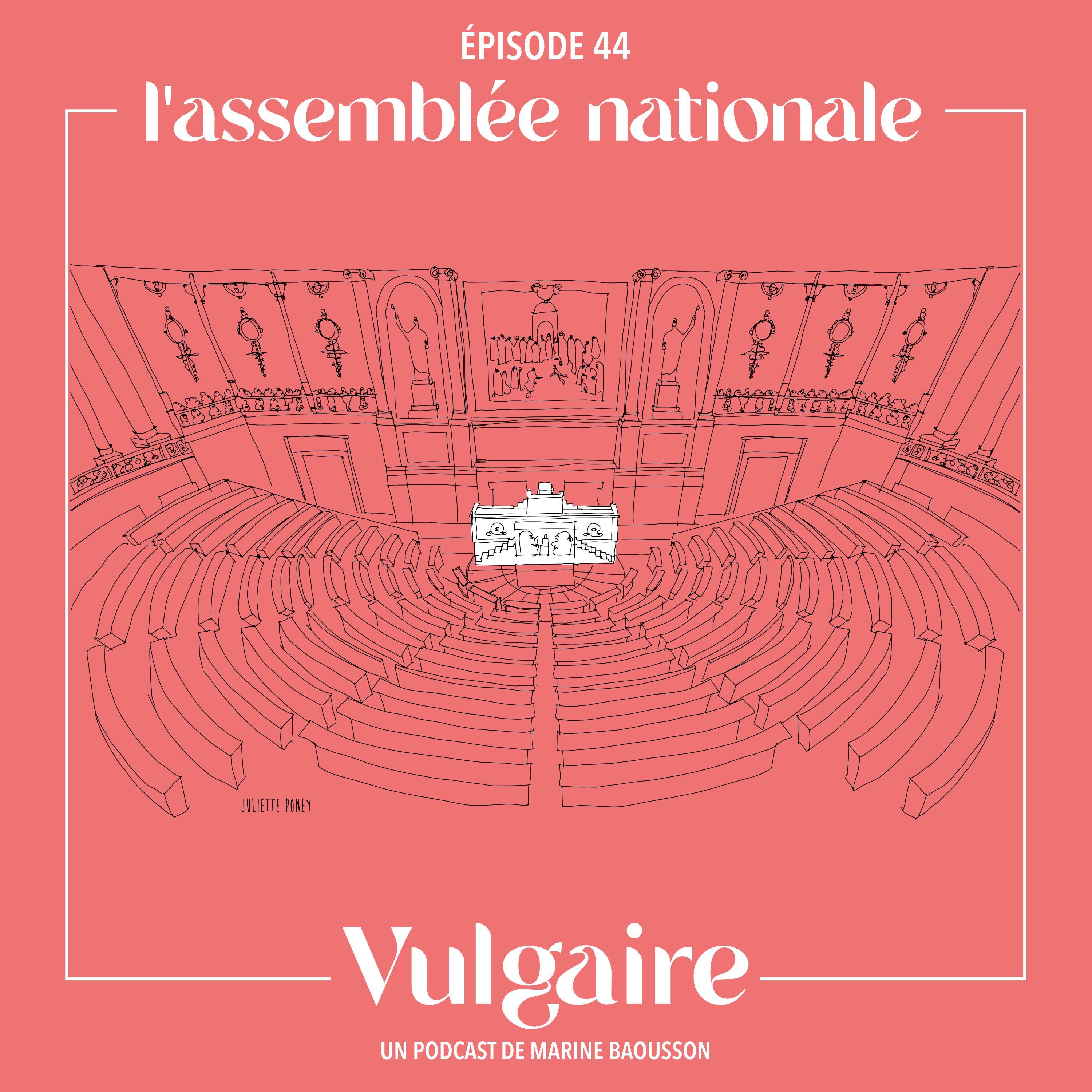 L'ASSEMBLÉE NATIONALE (et le Sénat. Et les lois...)