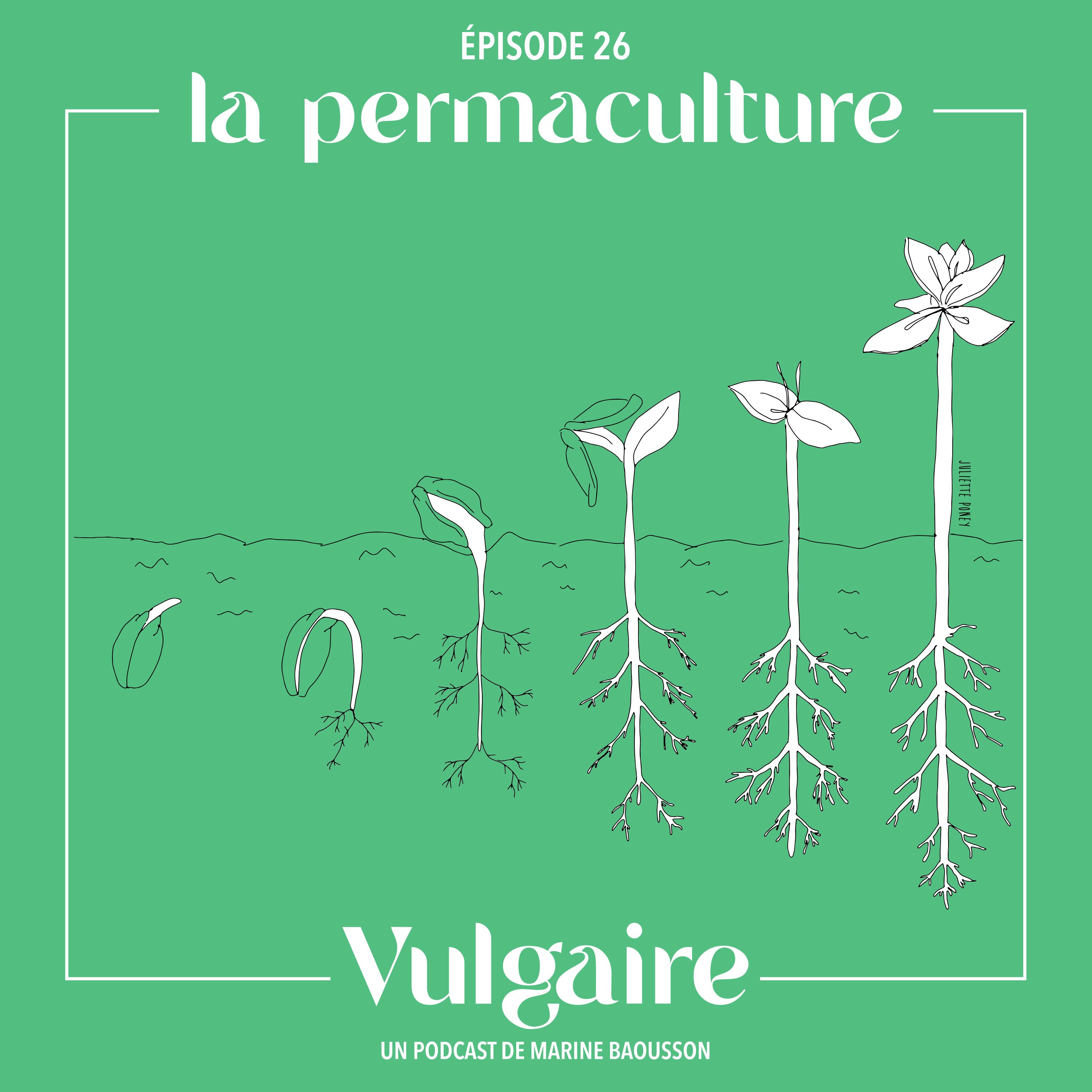 LA PERMACULTURE