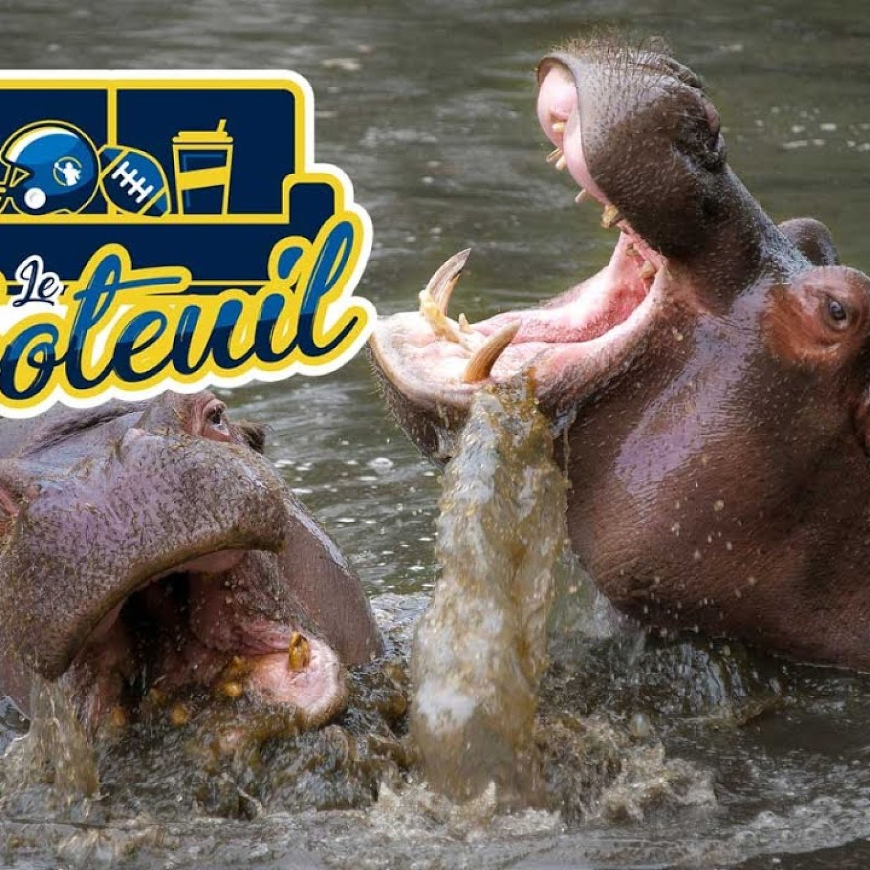 Le Footeuil S4 : c'est qui le plus fort ?