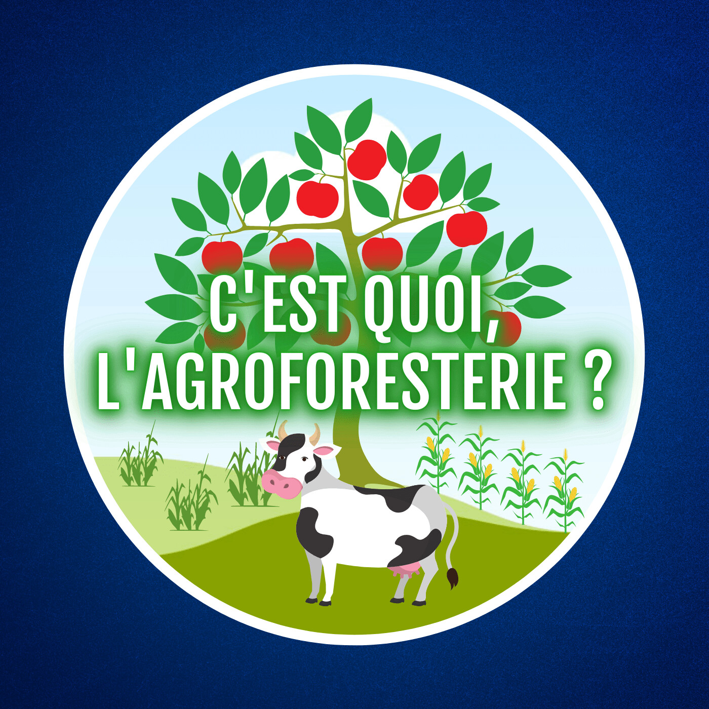C'est quoi, l'agroforesterie ? 🌳