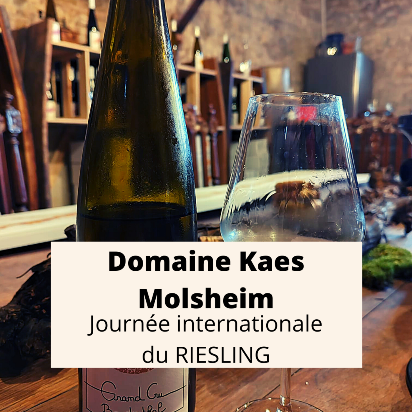 13 mars 2023: Journée mondiale du Riesling avec le Domaine Kaes à Molsheim (67)
