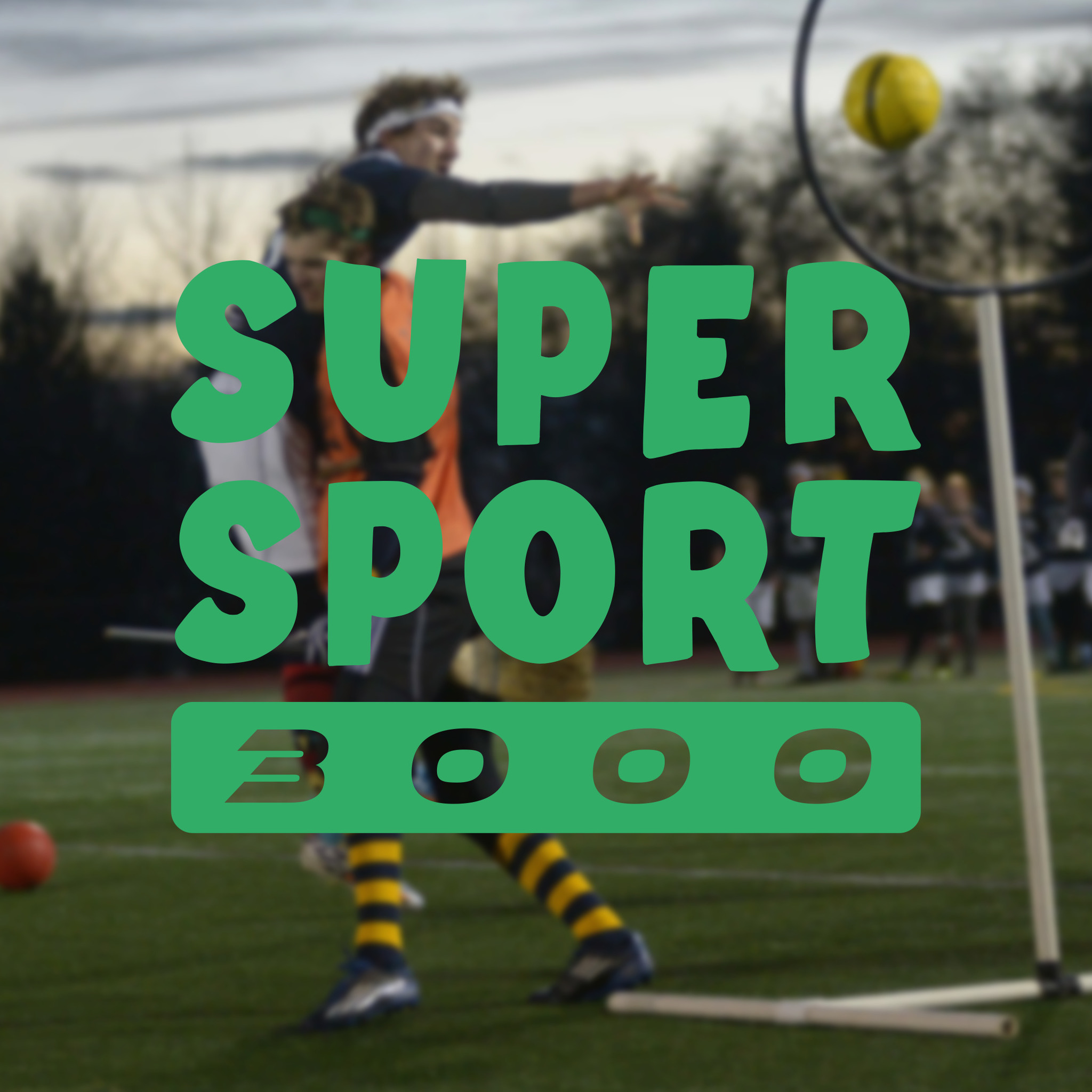 Le Quidditch