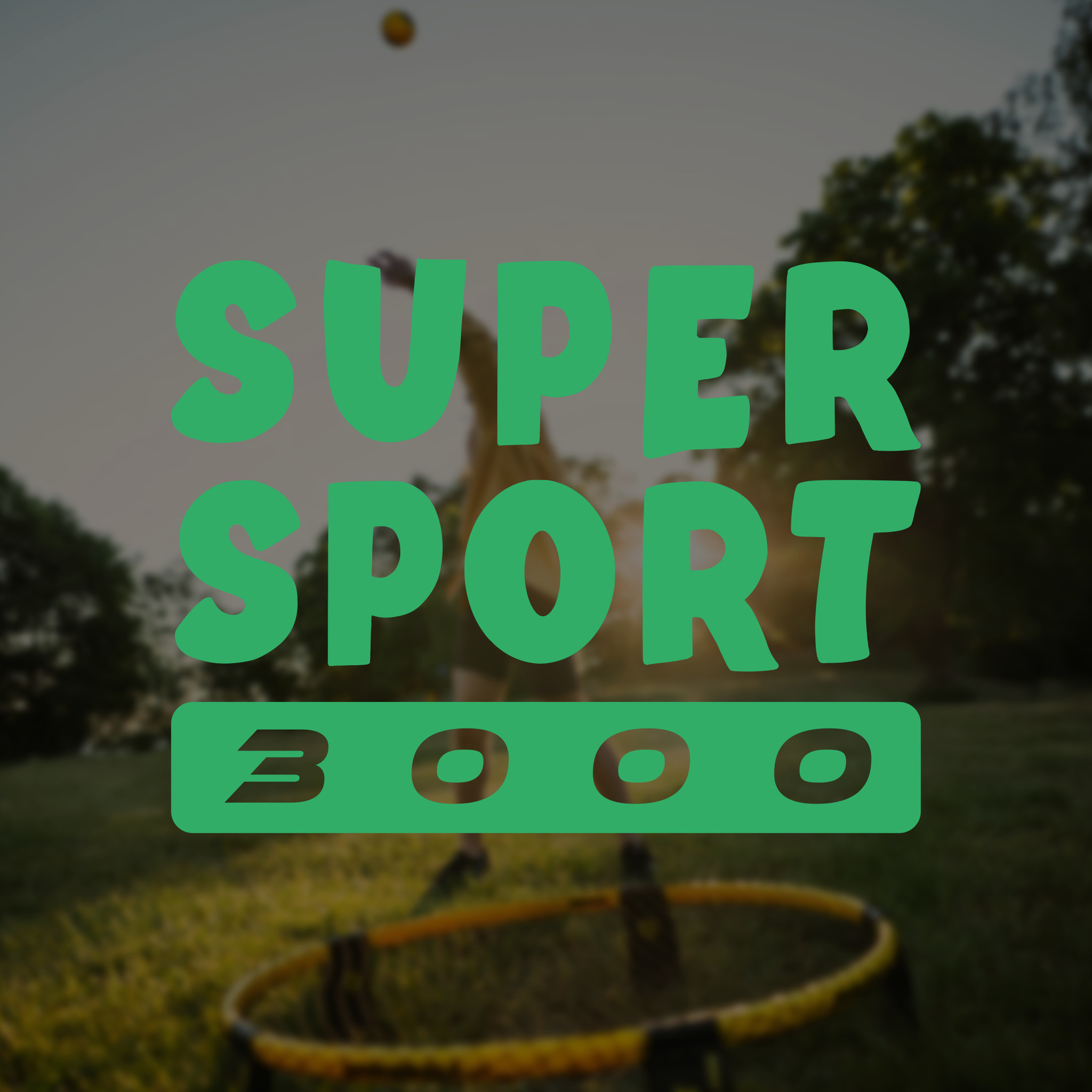 Le Spikeball