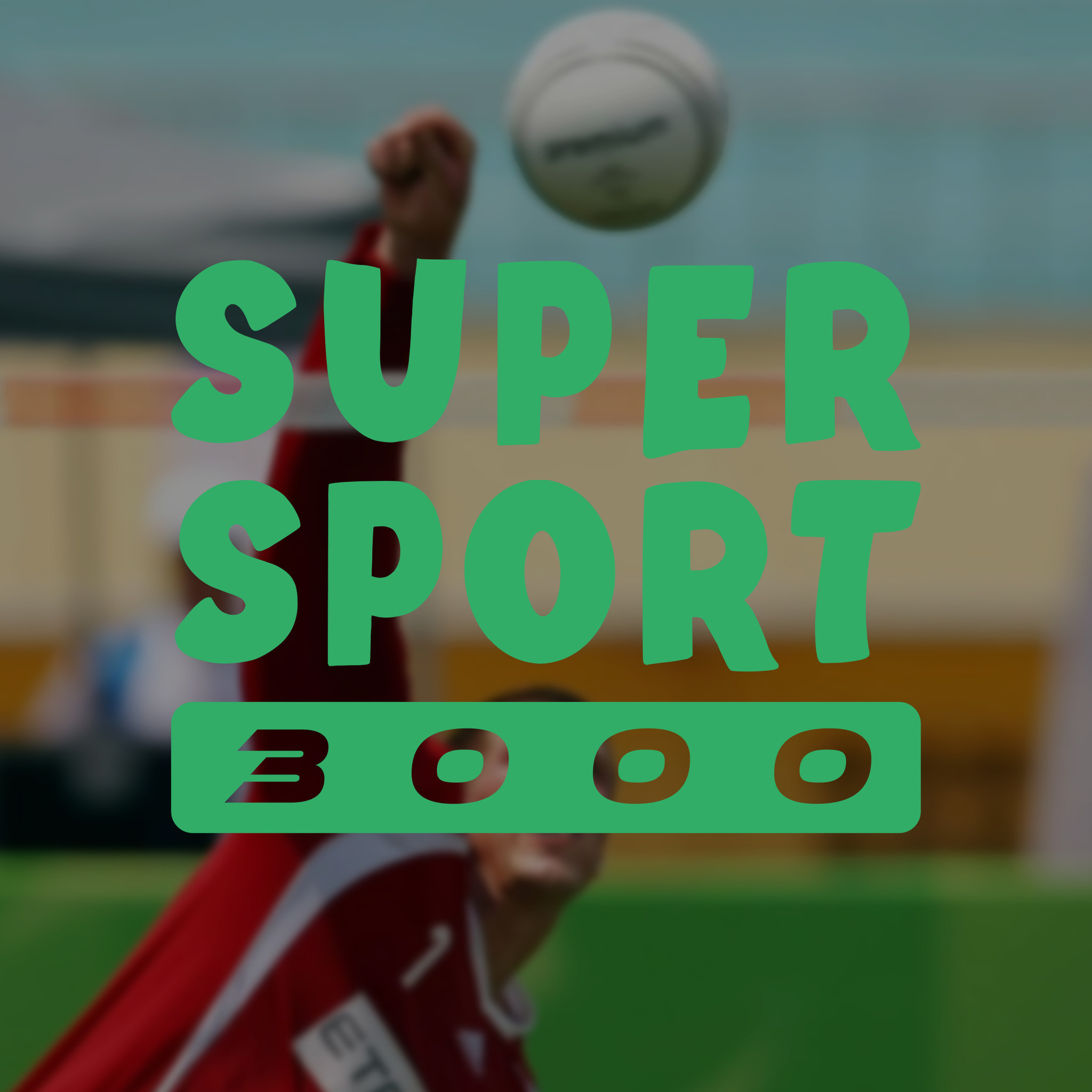 Le Fistball