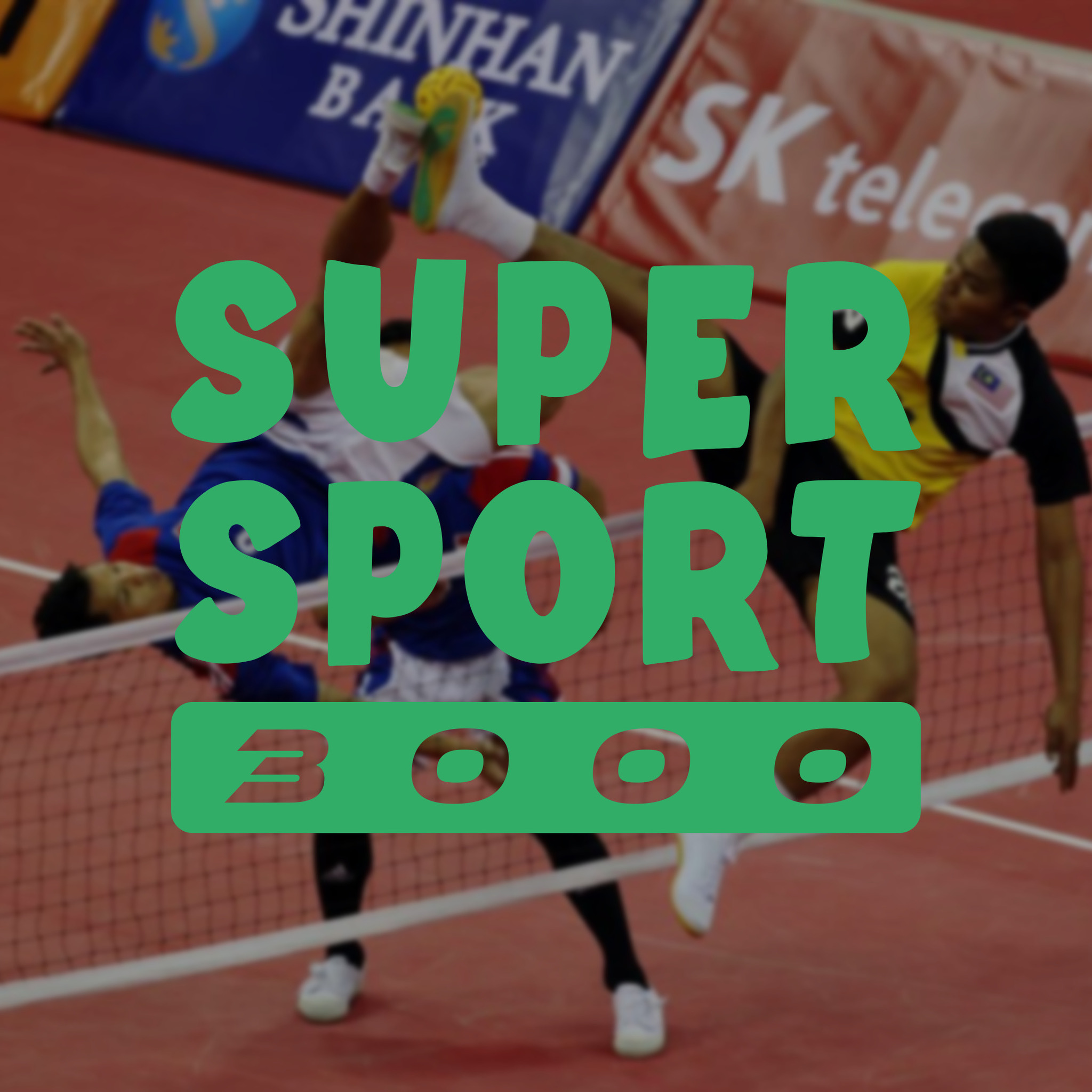 Le Sepak Takraw