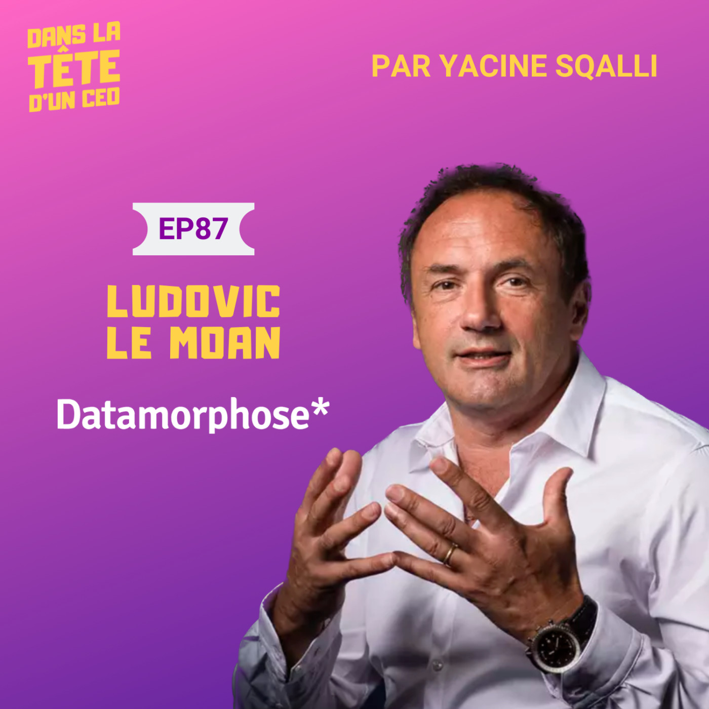 #87 Ludovic Le Moan (Datamorphose, Sigfox) - partie 2 : Sa levée à 100M€, ses erreurs, et ce...