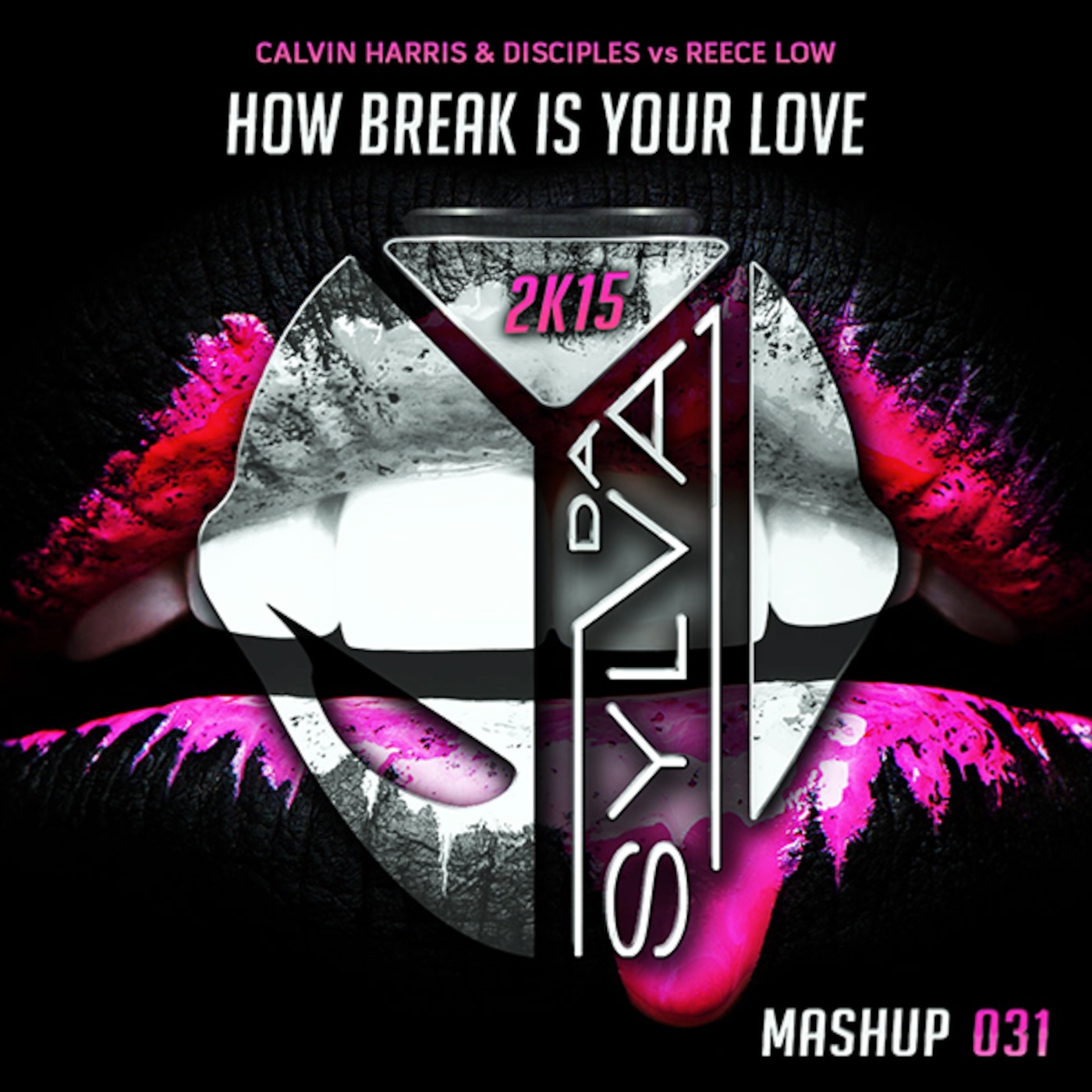 Calvin Harris & Disciples Vs. Reece Low - How Break Is Your Love (Da Sylva Mashup)