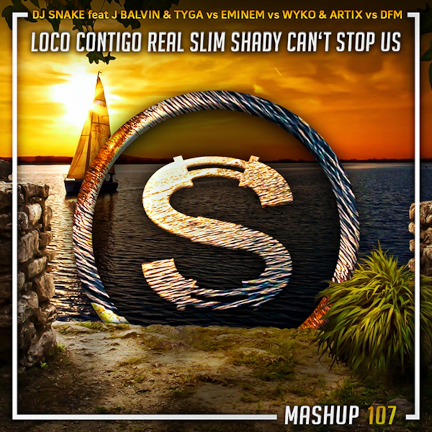 Dj Snake x J Balvin x Tyga vs Eminem vs Wyko x Artix vs DFM - Loco Contigo Real Slim Shady Cant...