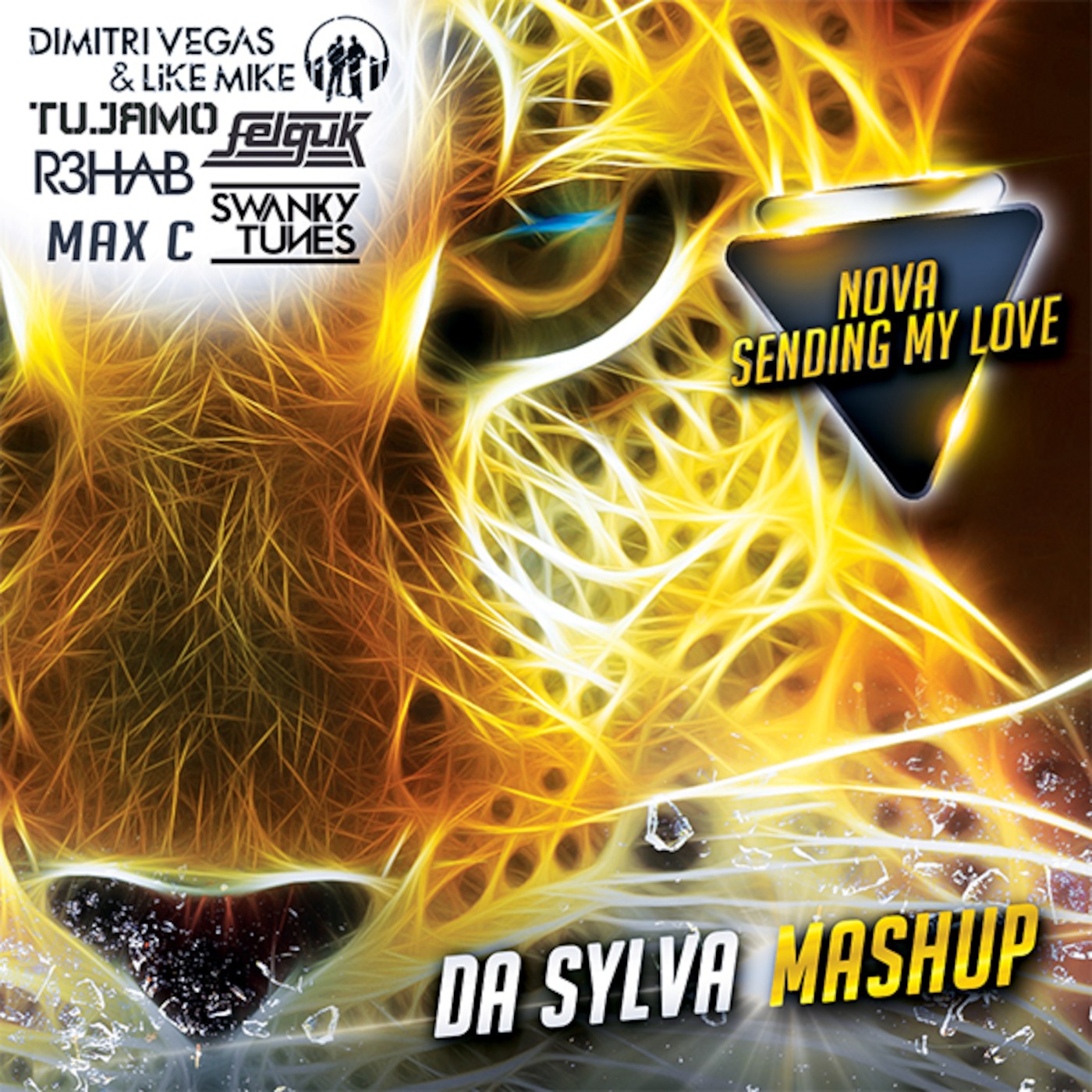 DIMITRI VEGAS & LIKE MIKE, TUJAMO, FELGUK vs R3HAB & SWANKY TUNES feat MAX C nova sending my love...