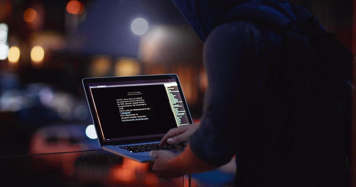 «Phishing», «vampires» bancaires, arnaques à la «romance»... Comment des réseaux criminels...