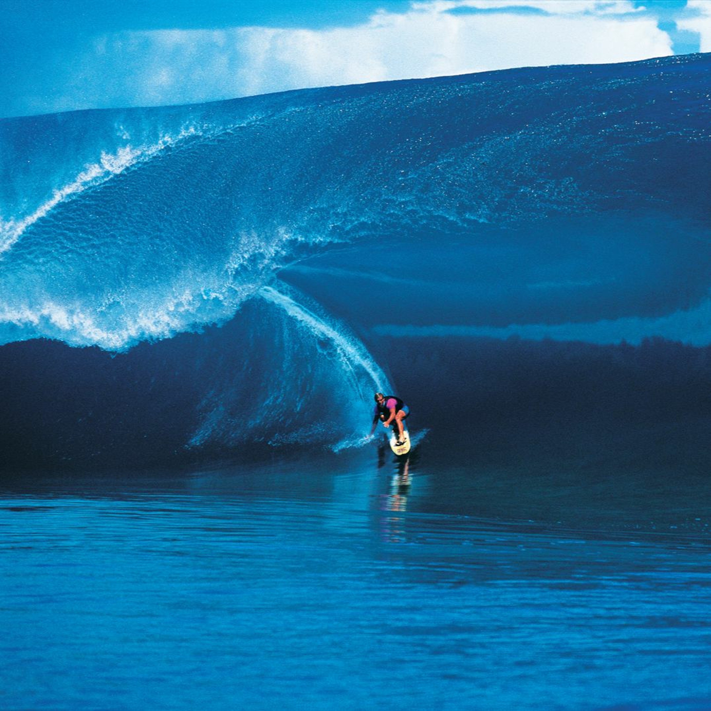 Tim McKenna et les 20 ans de la « Millenium Wave »
