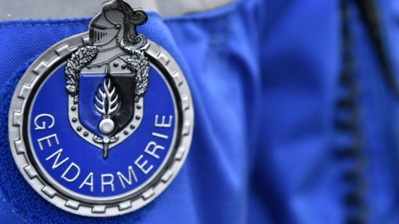 Alpes-de-Haute-Provence: six véhicules brûlés entre Sisteron et Peipin, un homme interpellé
