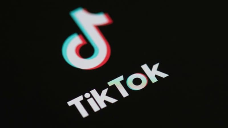 Santé mentale des adolescents: le réseau social Tiktok assigné en justice par sept familles en...