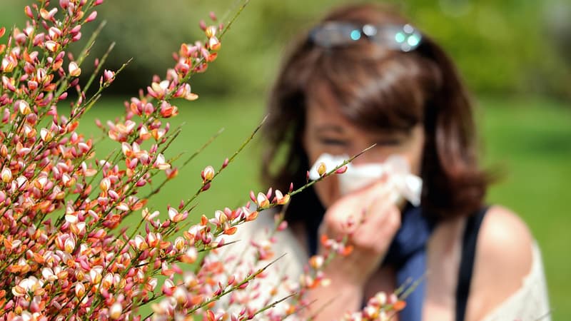 Désensibilisation, antihistaminiques, gestes du quotidien... Comment atténuer les allergies aux...