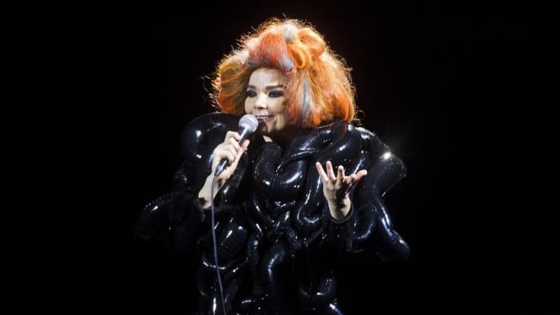 Björk prête son compte Instagram a des militants écologistes français pour interpeller Emmanuel...