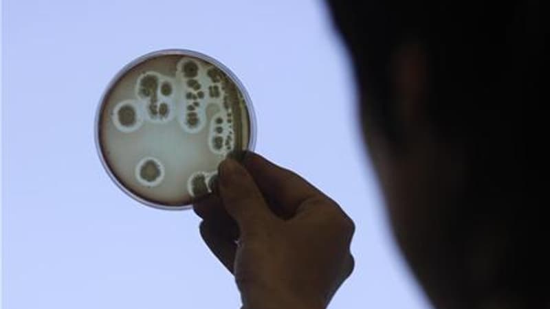 Bactérie E.coli: onze enfants ont été contaminés en fin d'année dernière, dont cinq dans une...