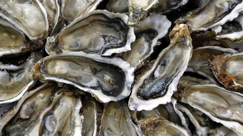 Après les tempêtes, les huîtres seront-elles sur les tables des fêtes?