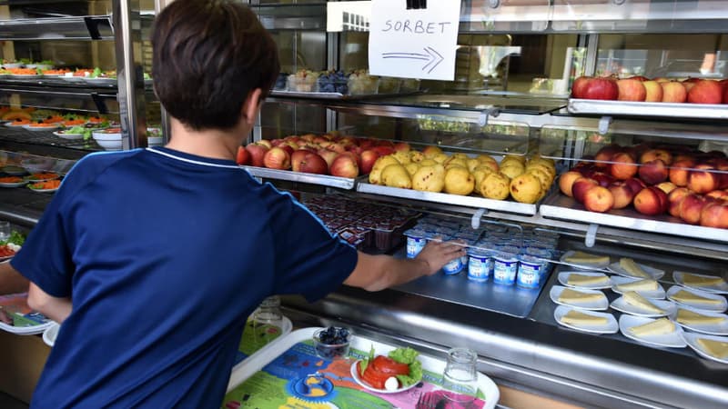 Cantines scolaires: une proposition de loi déposée pour interdire couverts et assiettes en...