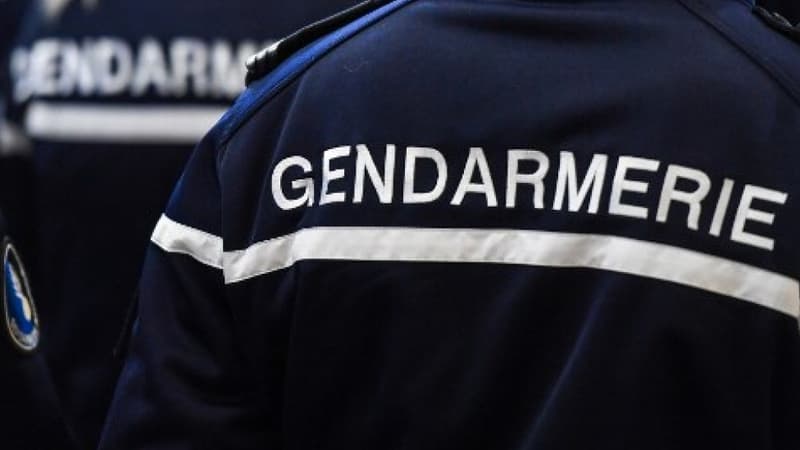 Carnoux-en-Provence: un réseau familial de trafic de stupéfiants démantelé, neuf personnes...