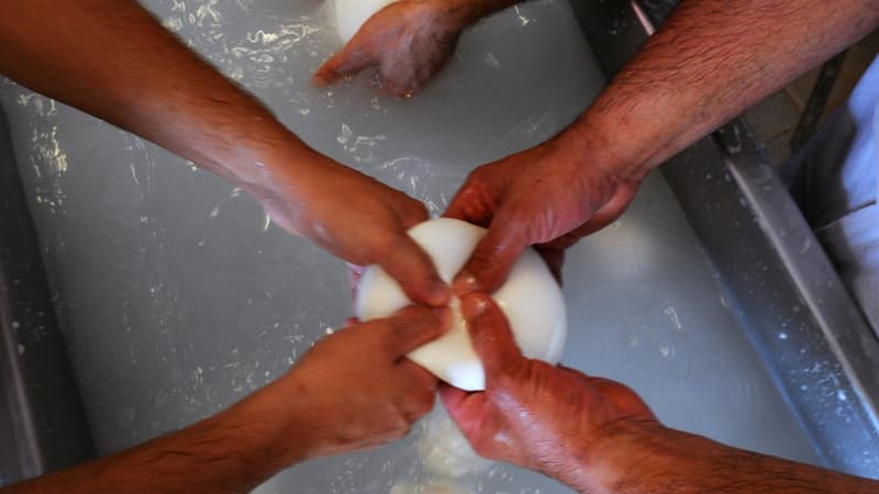 Ingrédients, appellation, fermeté... Comment bien choisir sa mozzarella?
