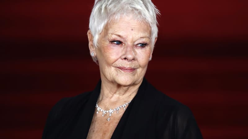 "Je ne vois plus rien": Judi Dench prend sa retraite à cause de sa cécité