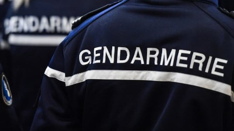 Isère: un homme recherché pour viol par Interpol interpellé en Allemagne, son fils hospitalisé