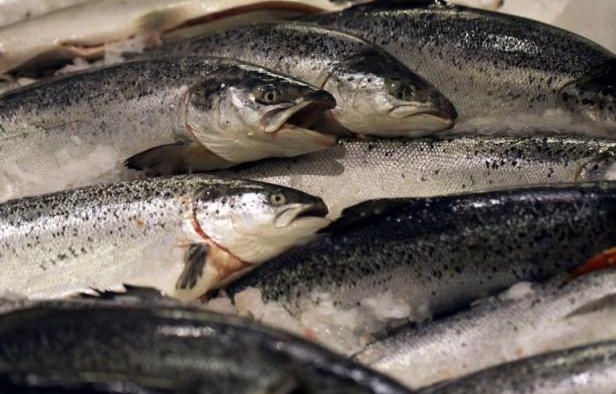 Salmonelle : Des filets de truite rose rappelés dans toute la France