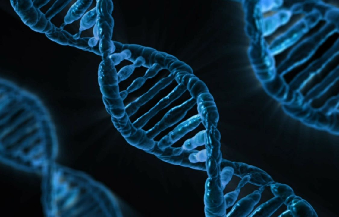 Mulhouse : Cancers cérébraux, l???ADN va faire parler les coupables