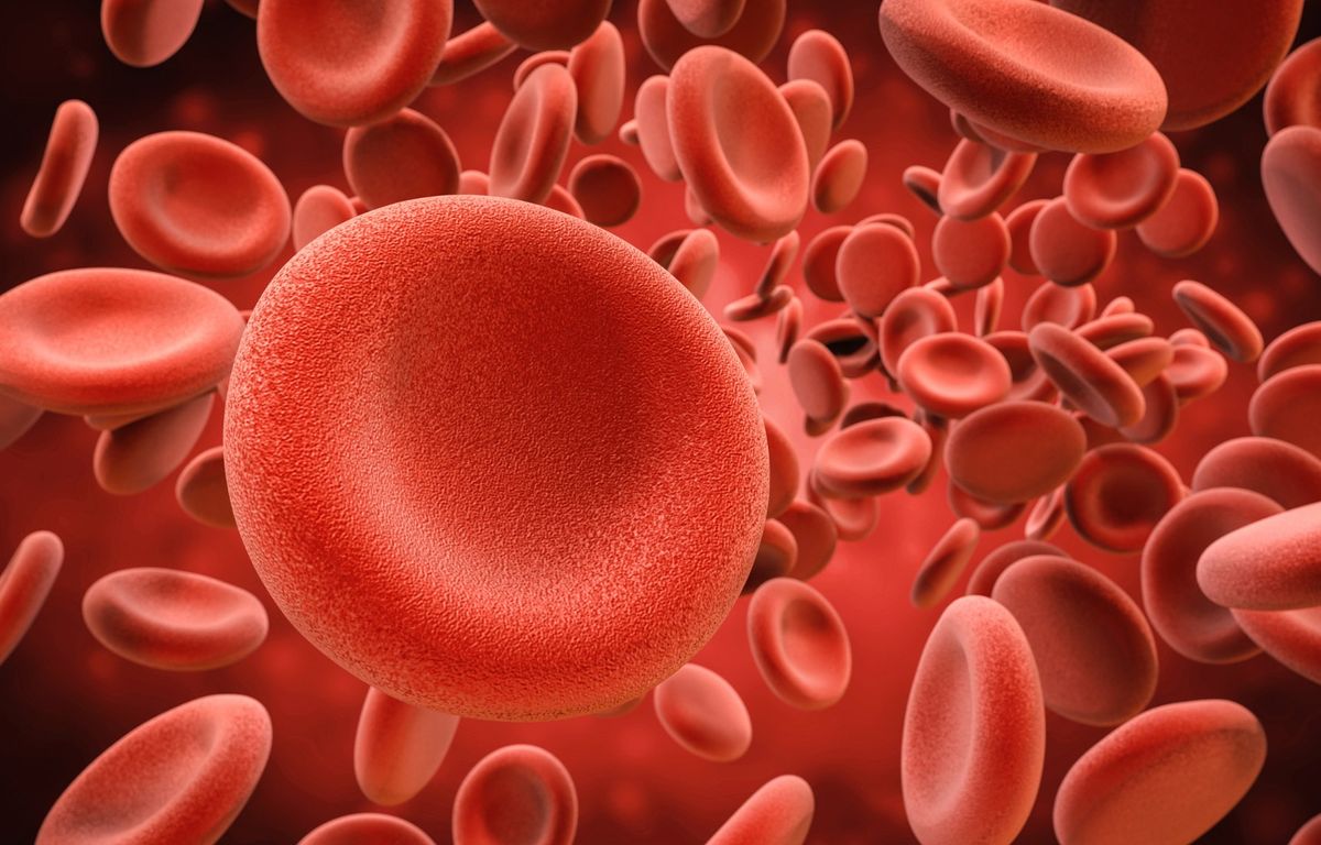 Drépanocytose : Un premier médicament avec la technologie Crispr autorisé en Europe