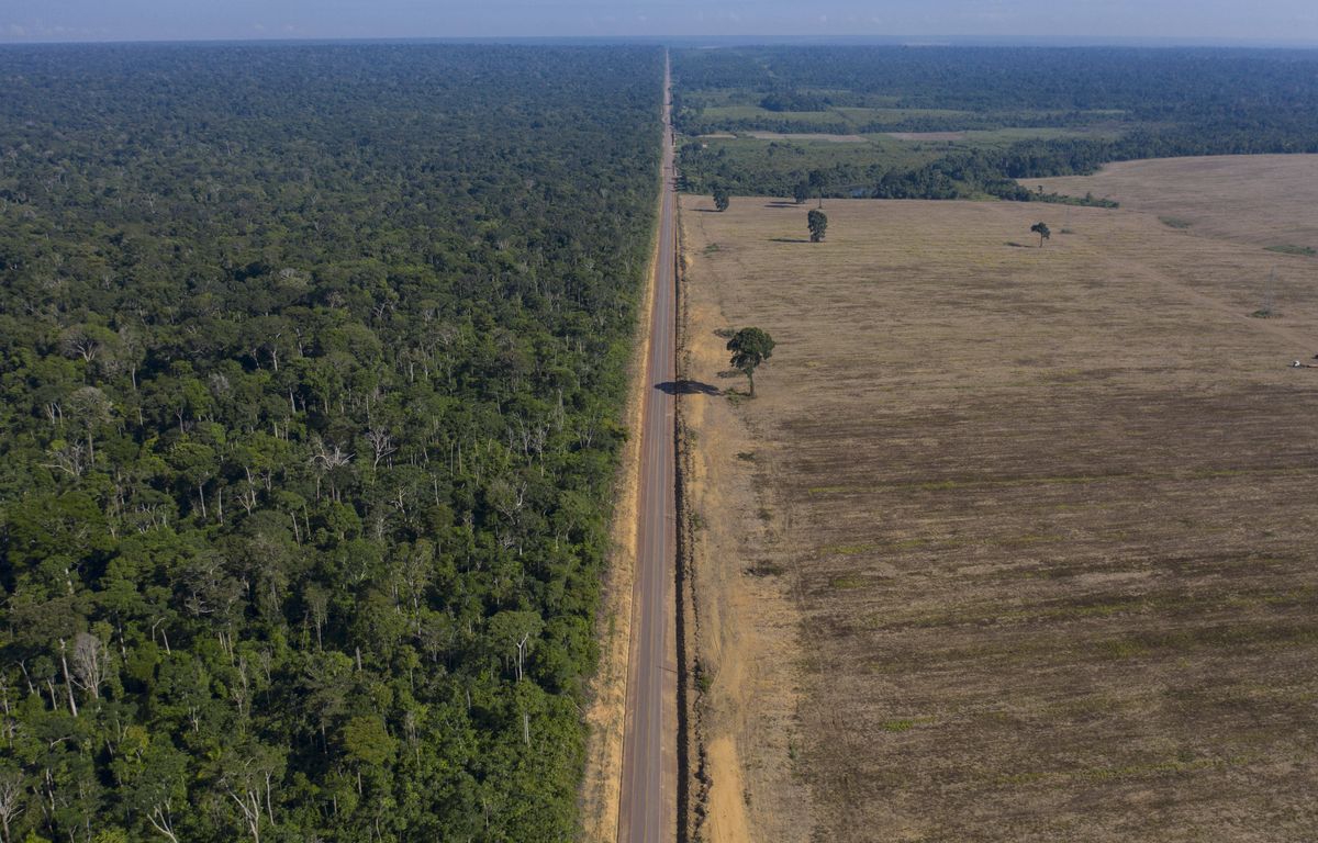 Brésil : La déforestation en Amazonie repart à la hausse pour la première fois depuis quinze...