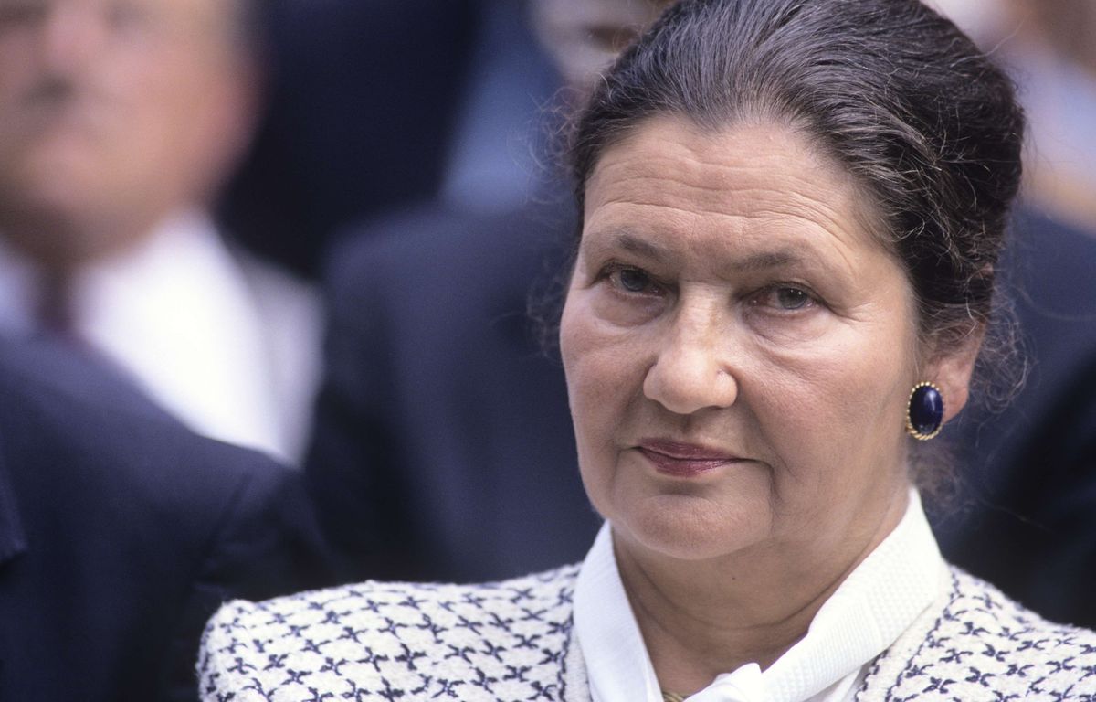 IVG dans la Constitution : La statue de Simone Veil à La Roche-sur-Yon vandalisée, l???Action...