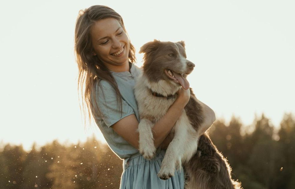Charente-Maritime : Ce collège adopte un chien pour lutter contre le décrochage scolaire