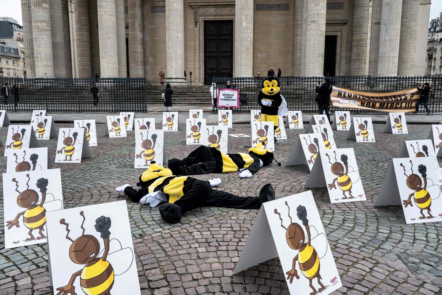 Agriculture : le Sénat vote pour la réintroduction des néonicotinoïdes à titre dérogatoire