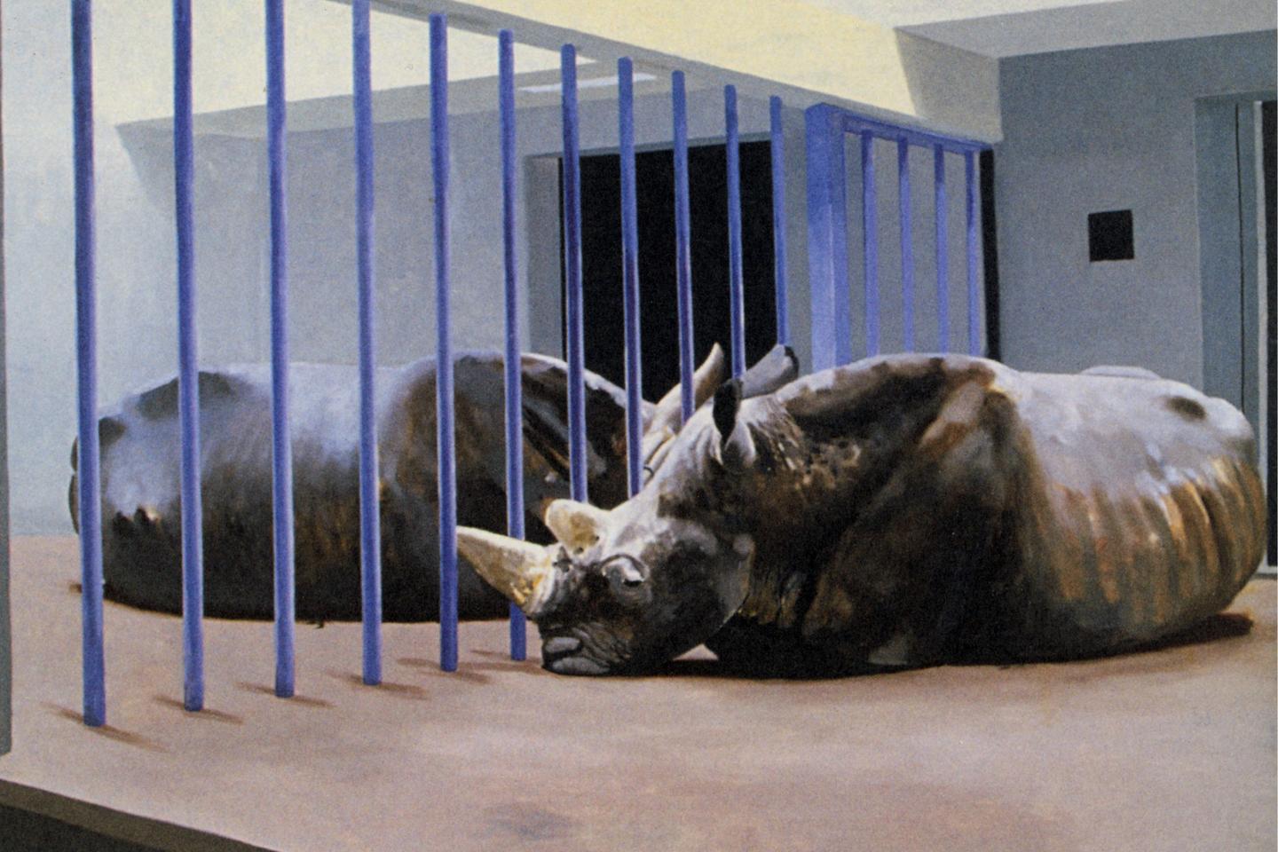 Gilles Aillaud et son bestiaire emprisonné, au Centre Pompidou
