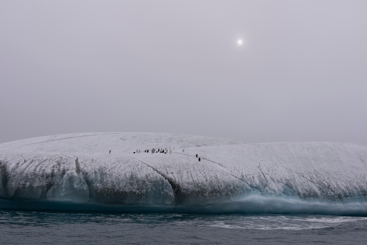 L???Antarctique en quête d???aires marines protégées