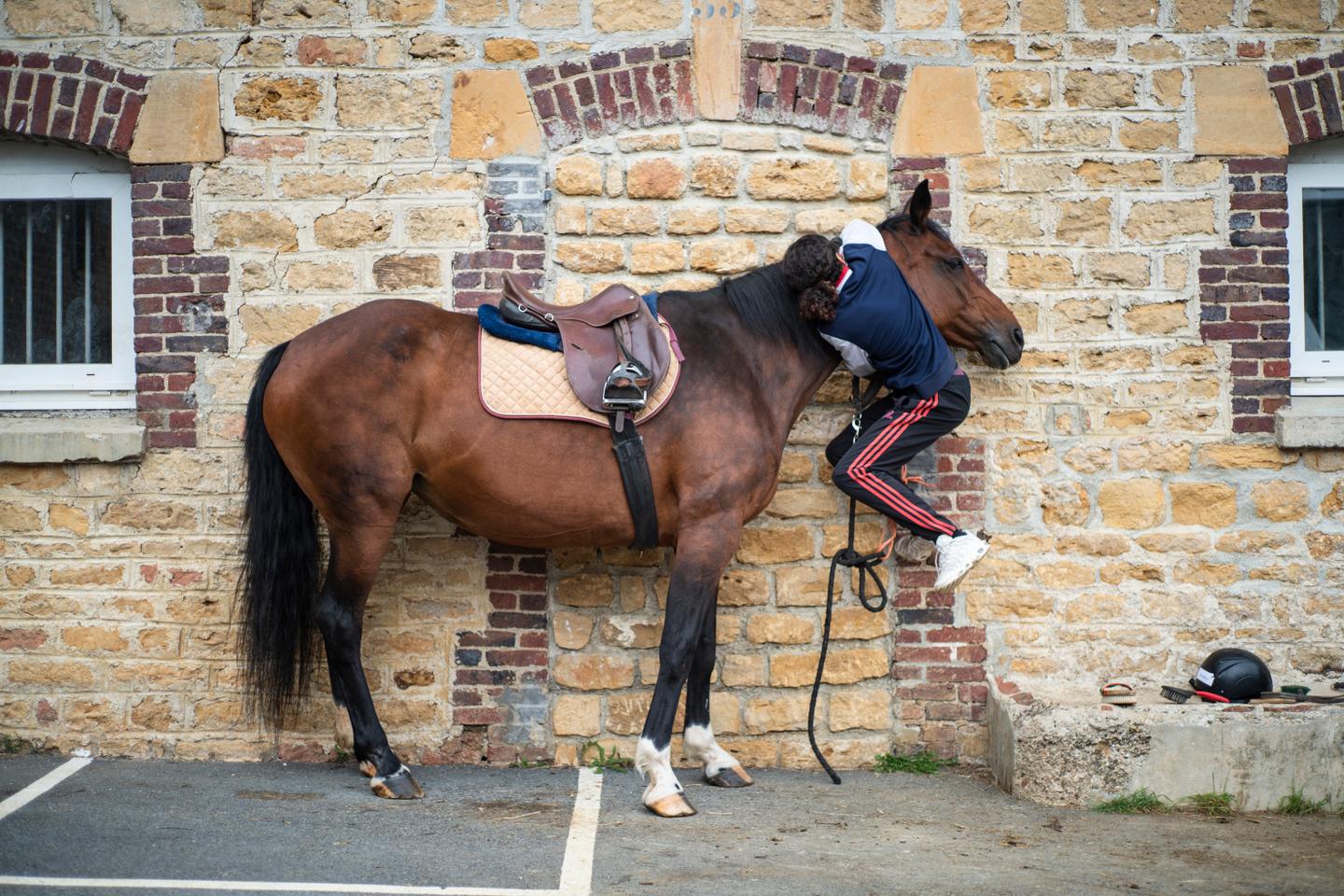 En France, l???équitation reste un sport populaire et le cheval, un marché dynamique à l???export