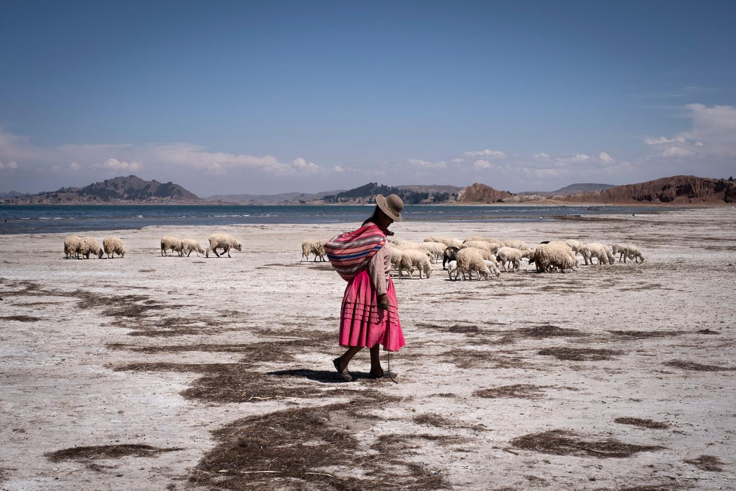A la frontière entre le Pérou et la Bolivie, le lac Titicaca en proie à une sécheresse...