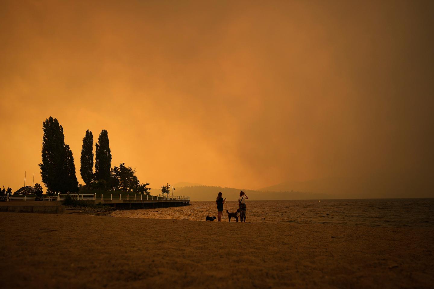 Le « Lancet Countdown » mesure les effets alarmants du changement climatique sur la santé