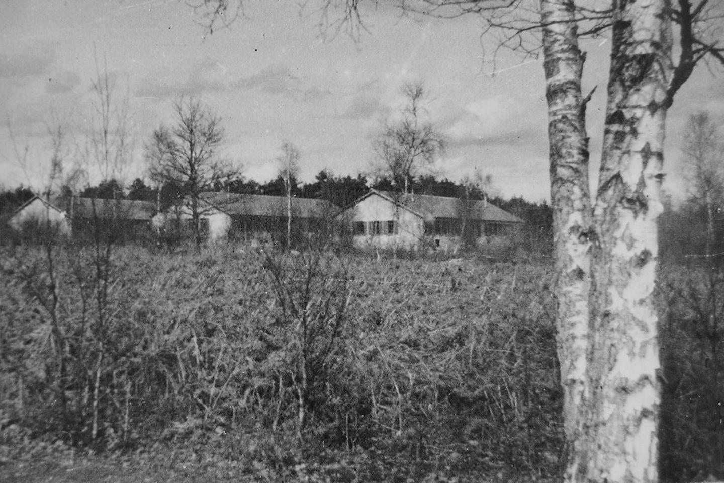 L???histoire oubliée du « Buschdorf », ce village des forêts normandes où des scientifiques...