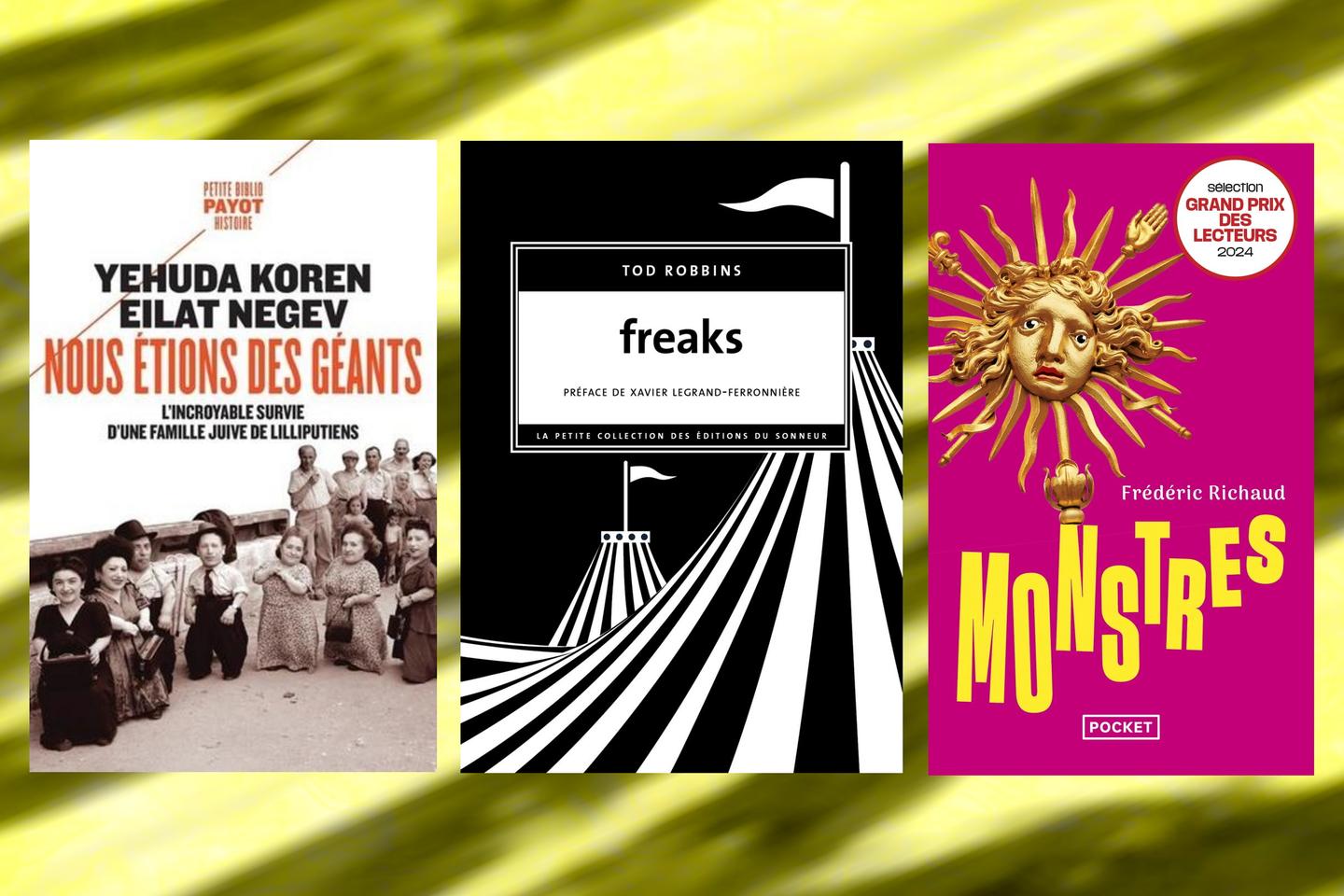 Trois livres de poche « phénoménaux » conseillés par François Angelier : Yehuda Koren et...