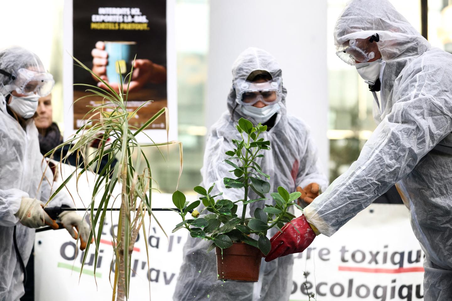 Plus de 80 ONG prêtes à saisir la justice contre la réautorisation du glyphosate en Europe